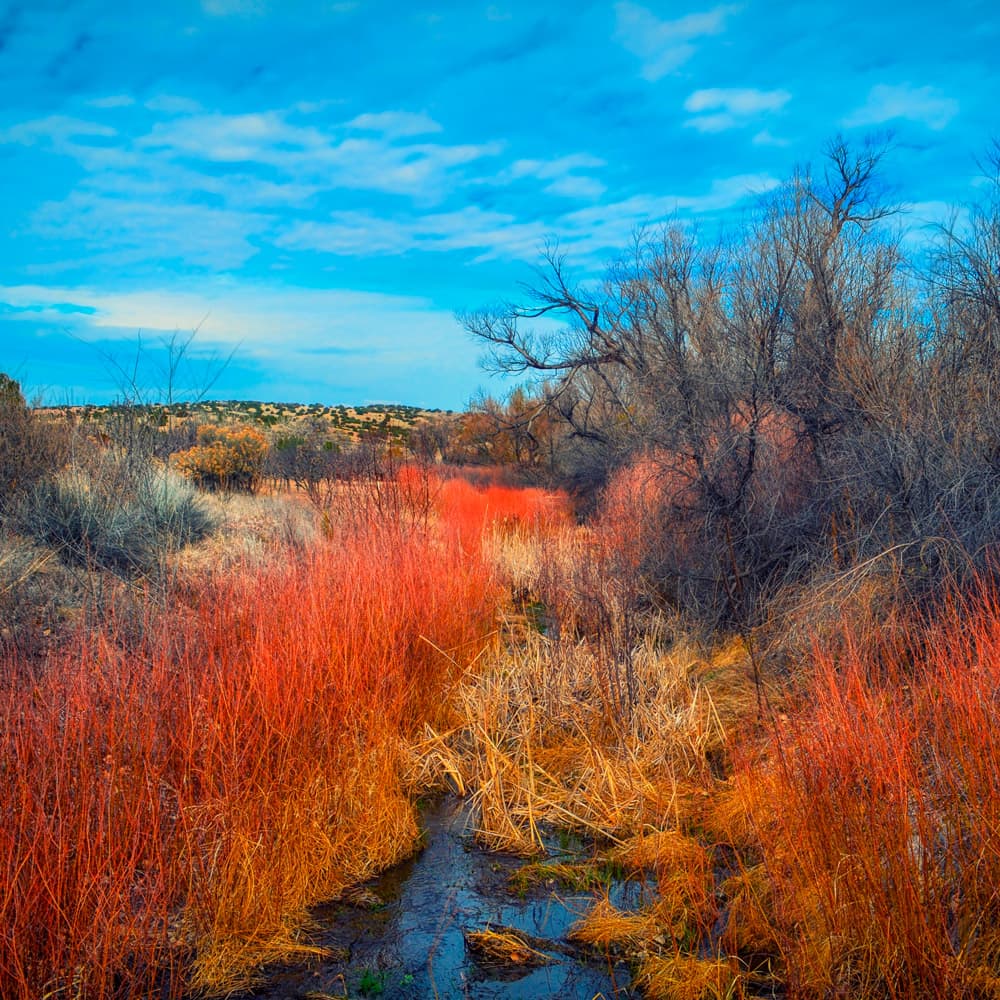 Cadmus assesses hydrologic health of New Mexico streams and rivers.