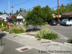 A project highlighted during the CSS National Dialog 2: Context Sensitive Solutions implemented in the City of Bainbridge Island, Wash. (Photo by SvR Design Company)