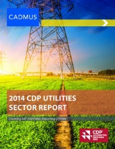 Cadmus_CDP_Utilities_Report_2014_cover_web