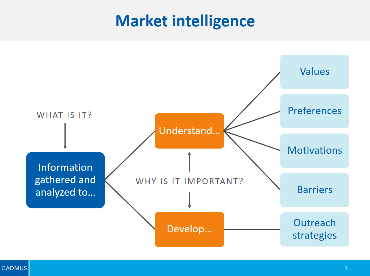 Market Intelligence: From Info to Action - Cadmus